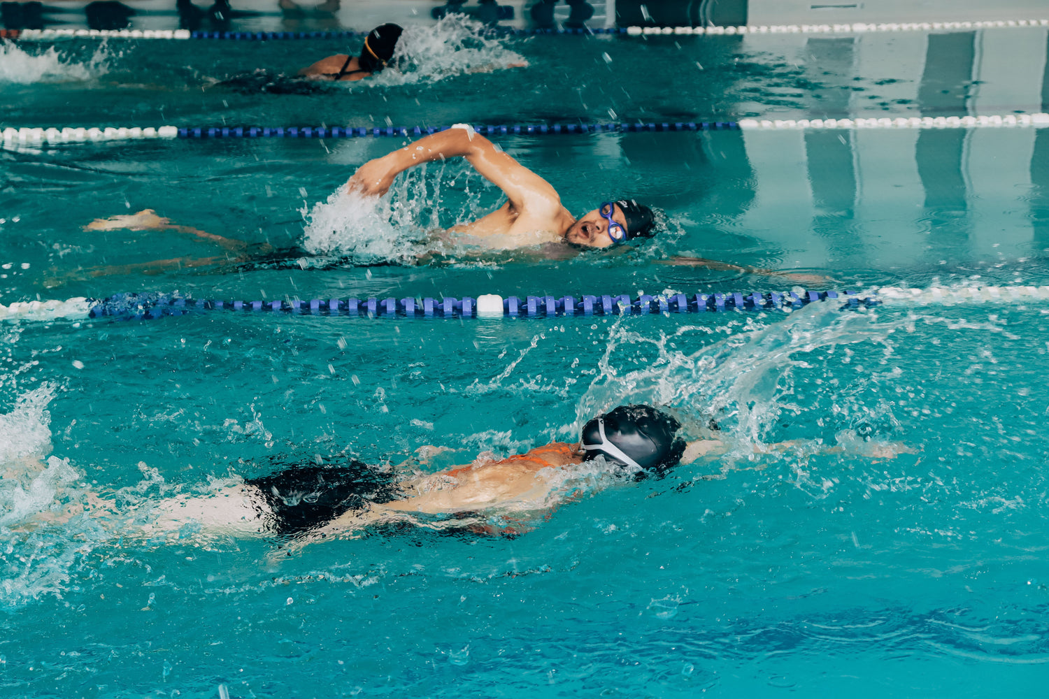 plan-entrena-globalsharks